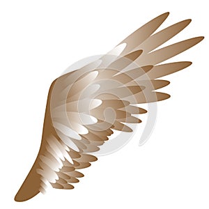 Vector illustration of a bird`s wing on white background