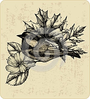 Vector illustration of the bird titmouse, leaves. photo