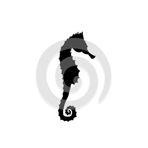 Vector illustration of black seahorse silhouette. Hand drawing