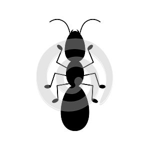 Vector illustration of a black silhouette ant. Isolated white background.