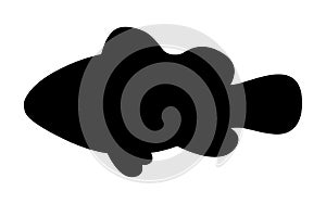 Vector illustration black silhouette clown fish
