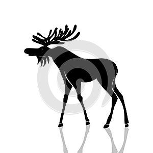 Vector illustration of a black silhouette of an elk. Isolated white background. Icon moose with horns side view, profile