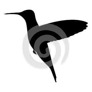 Vector illustration black silhouette hummingbird