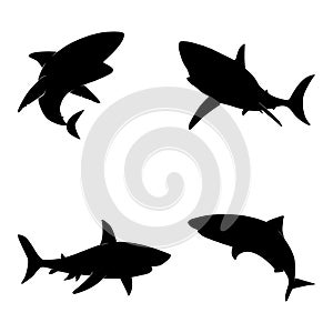 Vector illustration of a black silhouette shark