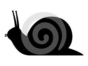 Vector illustration black silhouette of a snail