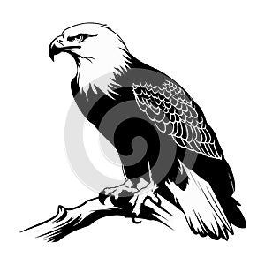 Vector illustration of a black silhouette of a standing eagle. Isolated white background. Eagle logo icon, side view