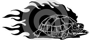 Vector Illustration of black silhouette Sulcata land tortoise design