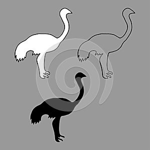 Vector illustration black and white silhouette of an ostrich, contour of a bird isolated on white background