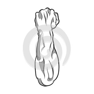 Vector illustration in black and white style of a clenched fist held high in protest.
