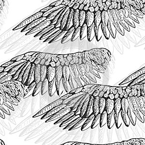 Black and white wings pattern