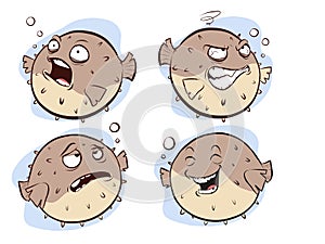 Vector  illustration of a Blowfish