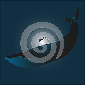 Vector illustration of a blue whale