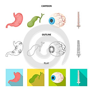 Diseno de cuerpo a hombre designación de la organización o institución. un conjunto compuesto por cuerpo a médico depósito telarana 