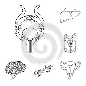 Vector illustration of body and human icon. Set of body and medical stock vector illustration.