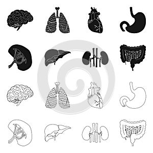 Vector illustration of body and human icon. Set of body and medical stock vector illustration.