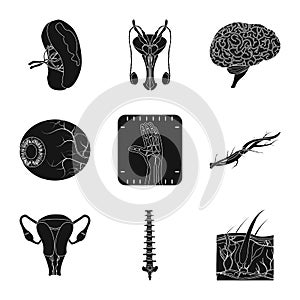 Vector illustration of body and human logo. Set of body and medical stock vector illustration.