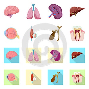 Vector illustration of body and human sign. Set of body and medical stock vector illustration.