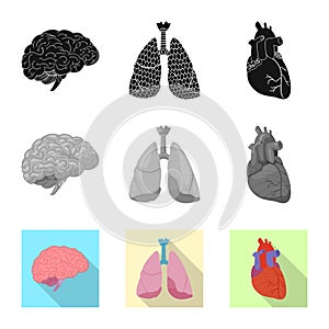 Vector illustration of body and human sign. Set of body and medical stock vector illustration.