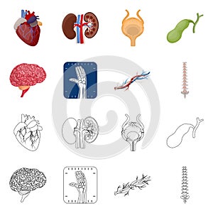 Vector illustration of body and human symbol. Collection of body and medical stock vector illustration.