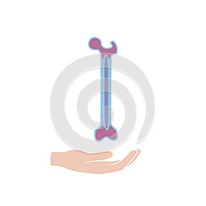 Vector illustration of bone marrow photo