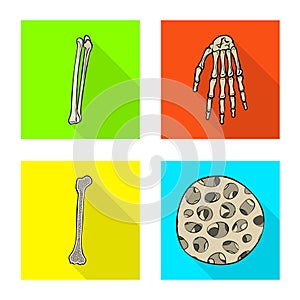 Vector illustration of bone and skeleton icon. Collection of bone and human stock symbol for web.