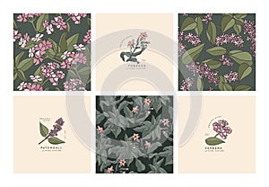 Vector illustration botanical herbs - vintage engraved style. Tobacco, verbena and patchouli. Seamless patern.