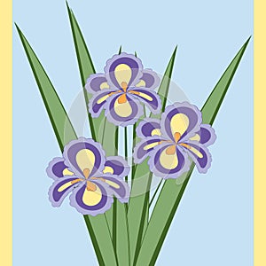 Vector illustration of bouquet of iris flowers.