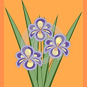 Vector illustration of bouquet of iris flowers.