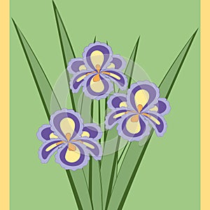 Vector illustration of bouquet of iris flowers.