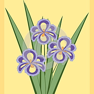 Vector illustration of bouquet of iris flowers.