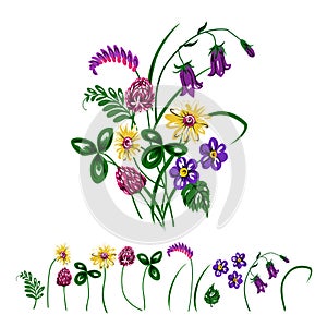 Vector illustration of bouquet made from wildflowers.