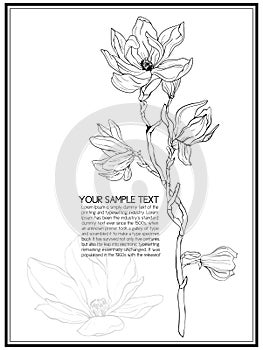 Vector illustration branches with floral decoration. Spring magnolia. Frame with flowers