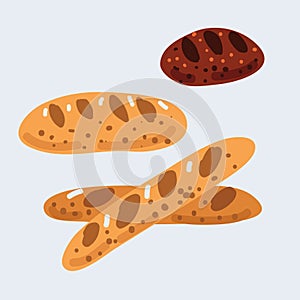 Vector illustration of breads. Baguette, loaf