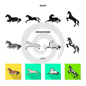 Vector illustration of breed and equestrian logo. Set of breed and mare stock symbol for web.