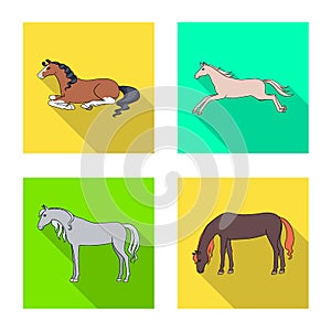 Vector illustration of breed and equestrian sign. Set of breed and mare stock vector illustration.