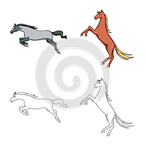 Vector illustration of breed and equestrian sign. Set of breed and mare vector icon for stock.