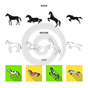 Vector illustration of breed and equestrian symbol. Set of breed and mare stock symbol for web.