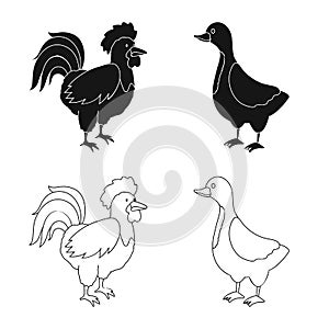 Vector illustration of breeding and kitchen icon. Collection of breeding and organic stock symbol for web.