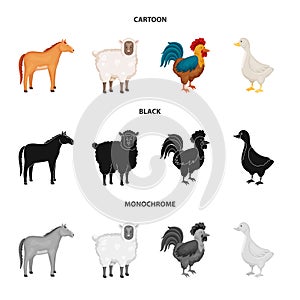 Vector illustration of breeding and kitchen  sign. Set of breeding and organic  stock symbol for web.