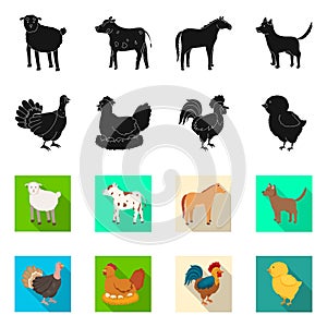 Vector illustration of breeding and kitchen symbol. Collection of breeding and organic vector icon for stock.