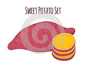 Vector illustration of brown batat, sweet potato and slices. Organic healthy vegetable
