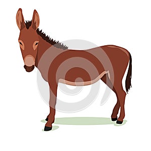 Vector illustration of a brown donkey isolated