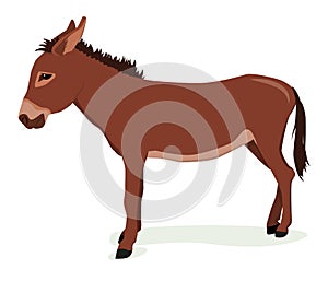 Vector illustration of a brown donkey isolated