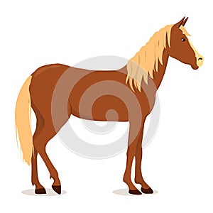 Vector illustration of a brown horse with a light mane isolated