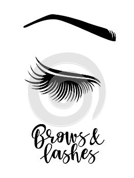 Vector illustration of brows and lashes