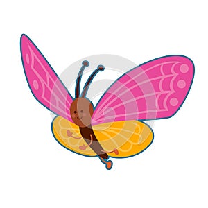 Vector illustration of butterfly