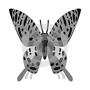 Vector illustration of butterfly and zoology symbol. Collection of butterfly and wildlife stock vector illustration.