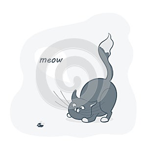 Vector illustration, a cartoon cute gray cat playing with a fly.