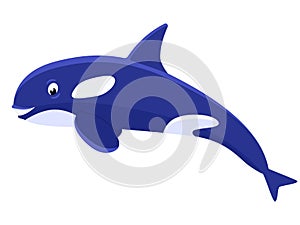 Vector illustration cartoon cute killer whale