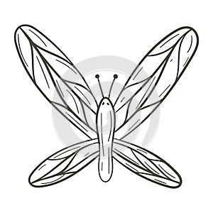 Vector illustration of cartoon doodle isolated butterfly.